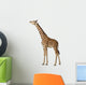 Somali Giraffe Commonly Known Wall Decal