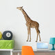 Somali Giraffe Commonly Known Wall Decal