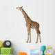 Somali Giraffe Commonly Known Wall Decal
