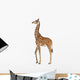 Somali Giraffe, commonly known as Reticulated Giraffe Wall Decal