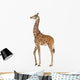 Somali Giraffe, commonly known as Reticulated Giraffe Wall Decal