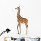 Somali Giraffe, commonly known as Reticulated Giraffe Wall Decal