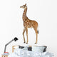 Somali Giraffe, commonly known as Reticulated Giraffe Wall Decal