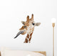 Somali Giraffe Commonly Known as Reticulated Giraffe Wall Decal