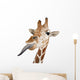 Somali Giraffe Commonly Known as Reticulated Giraffe Wall Decal