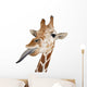 Somali Giraffe Commonly Known as Reticulated Giraffe Wall Decal