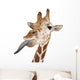 Somali Giraffe Commonly Known as Reticulated Giraffe Wall Decal