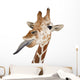 Somali Giraffe Commonly Known as Reticulated Giraffe Wall Decal