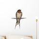 Barn Swallow, Hirundo rustica, perching against white background Wall Decal