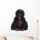 Baby Bonobo Pan Paniscus 4 Months Old Wall Decal