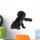 Baby Bonobo Wall Decal