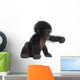 Baby Bonobo Wall Decal