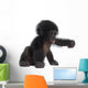 Baby Bonobo Wall Decal