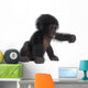 Baby Bonobo Wall Decal