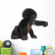 Baby Bonobo Wall Decal