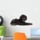 Baby Bonobo Laying Down Wall Decal