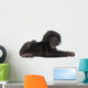 Baby Bonobo Laying Down Wall Decal