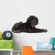 Baby Bonobo Laying Down Wall Decal