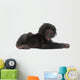 Baby Bonobo Laying Down Wall Decal
