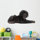 Baby Bonobo Laying Down Wall Decal