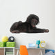 Baby Bonobo Laying Down Wall Decal