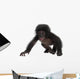 Crawling Baby Bonobo Wall Decal