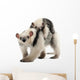 Tamandua, Tamandua tetradactyla mother, 3 years old Wall Decal