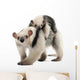 Tamandua, Tamandua tetradactyla mother, 3 years old Wall Decal
