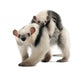 Tamandua, Tamandua tetradactyla mother, 3 years old Wall Decal