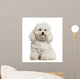 Bolonka 4 Years Old Wall Decal