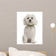 Bichon Fris?Â©, 5 years old, sitting against white background Wall Decal