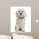 Bichon Fris?Â©, 5 years old, sitting against white background Wall Decal