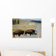 Bison Crossing the Road in Yellowstone Wall Mural