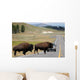 Bison Crossing the Road in Yellowstone Wall Mural