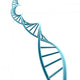 3D Blue DNA Strand Wall Decal