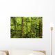 Moss-Covered Trees Wall Mural