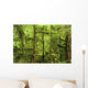 Moss-Covered Trees Wall Mural