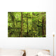 Moss-Covered Trees Wall Mural
