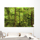 Moss-Covered Trees Wall Mural
