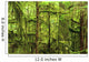 Moss-Covered Trees Wall Mural