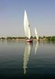 Felucca River Nile Wall Mural