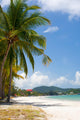 Vacation Seashore