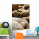 5 stone water Wall Mural