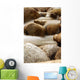 5 stone water Wall Mural