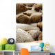5 stone water Wall Mural