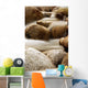 5 stone water Wall Mural