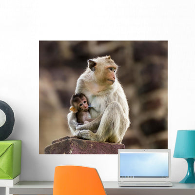 Baby Monkey and Mother shown on a wall