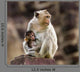 Baby Monkey and Mother