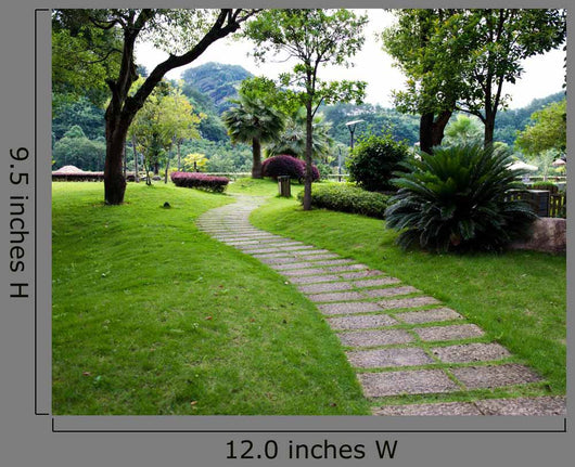 Path