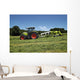 Mowing Grass for Animal